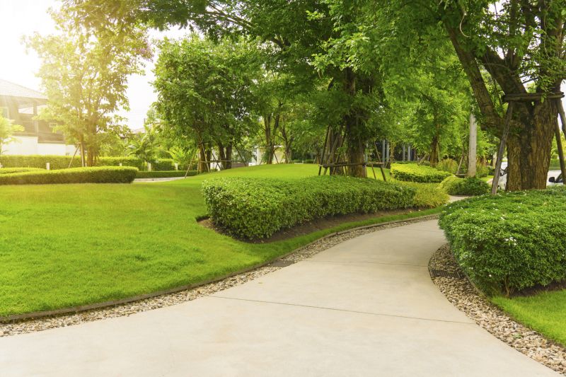 Cement Walkway Installation