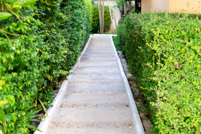 Cement Walkway Installation