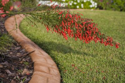 Hardscape Curbing Installation