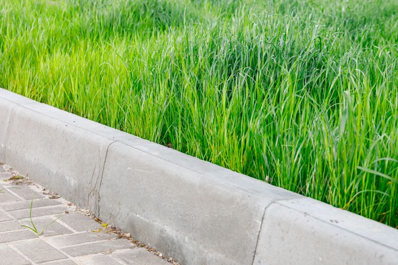 Hardscape Curbing Installation