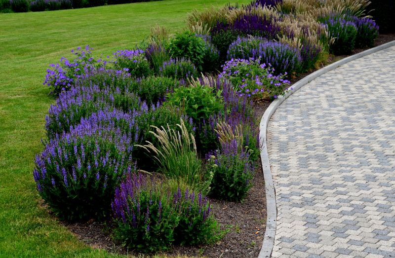 Hardscape Curbing Installation
