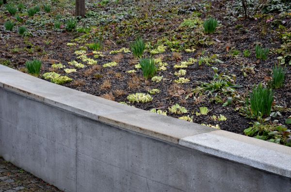 Cost of Concrete Wall Pouring in Indianapolis