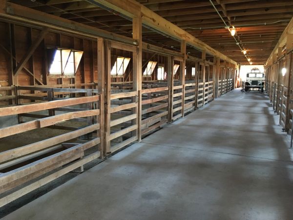 Cost of Barn Floor Pouring in Indianapolis