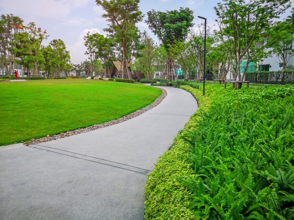 Cost of Cement Walkway Service in Indianapolis